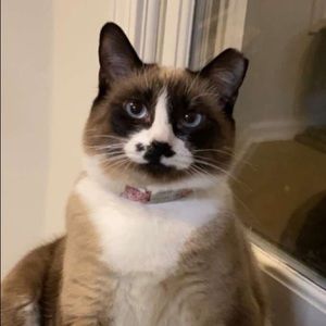 Meet your Posher, Gina